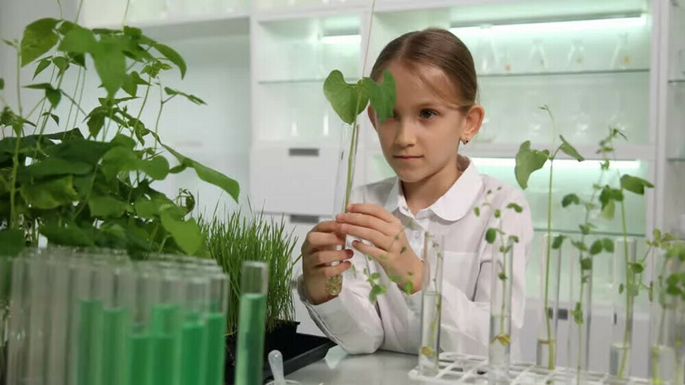Школьники Южного Урала представят проекты и разработки в области биологии и агроэкологии