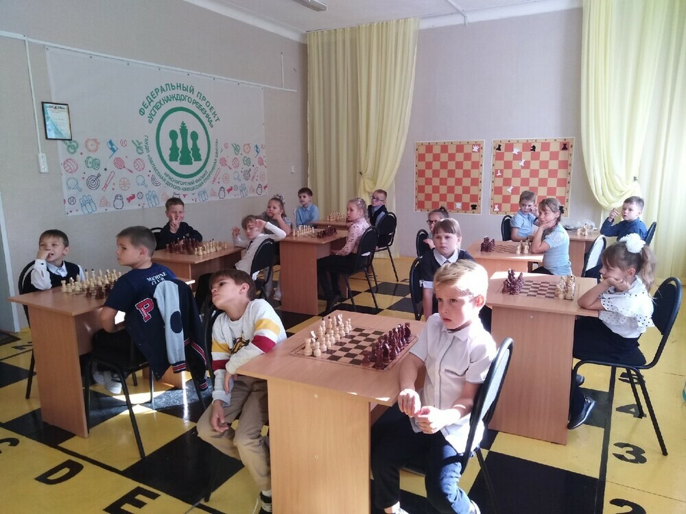 Как начался учебный год в новых филиалах ОДЮСШ: теперь в Красногорске ребята дополнительно занимаются шахматами, боксом и греко-римской борьбой