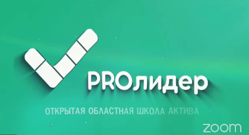 В Челябинской области прошла областная школа актива «ПРОлидер» online
