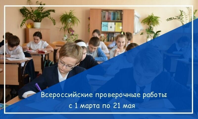 В школах Южного Урала начались всероссийские проверочные работы