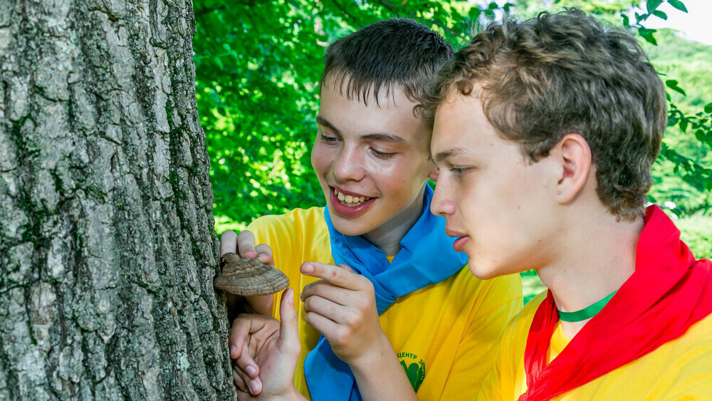 Подведены итоги Всероссийского юниорского лесного конкурса «Подрост»