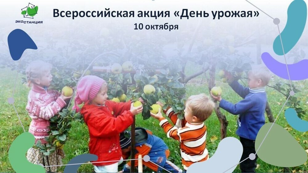 Педагогов, школьников, родителей принять участие во Всероссийской акции «День урожая»