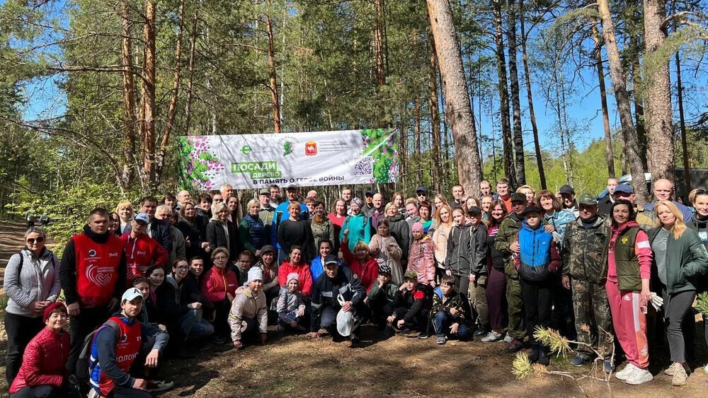 Челябинская область продолжает участие в Международной акции «Сад Памяти»