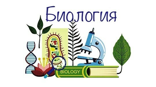 Областной этап ООШ по биологии состоится 6 марта