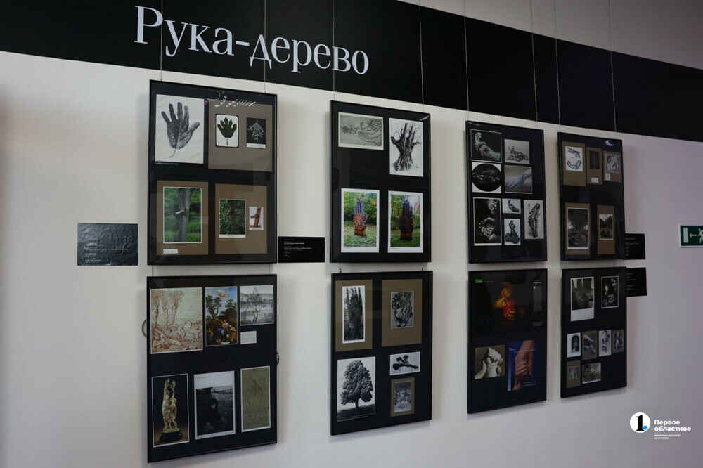 В Международном институте дизайна и сервиса открылась выставка художника и скульптора Михаила Шемякина «Рука в искусстве»