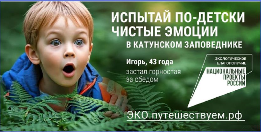 В России стартовала рекламная кампания по популяризации экологического туризма